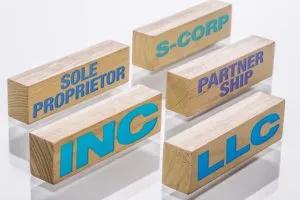 Blocks with LLC, Sole Proprietor and s-corp