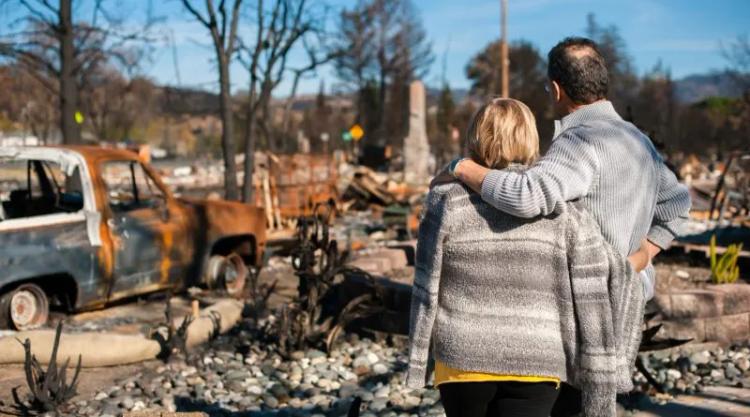 Man and woman looking at burned forest