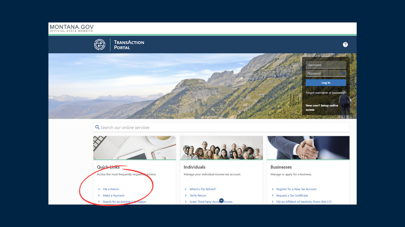 Montana Tax Payment Portal Screenshot